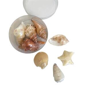 Coastal Nautical Seashell Novelty Candle Set - 8 Piece